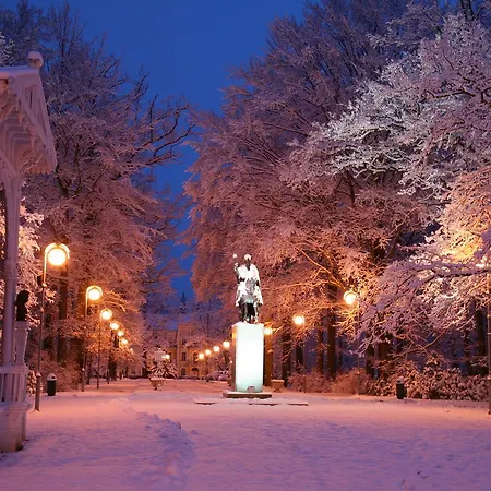 Stark Apartment Frantiskovy Lazne