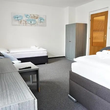 Stark Apartment Františkovy Lázně